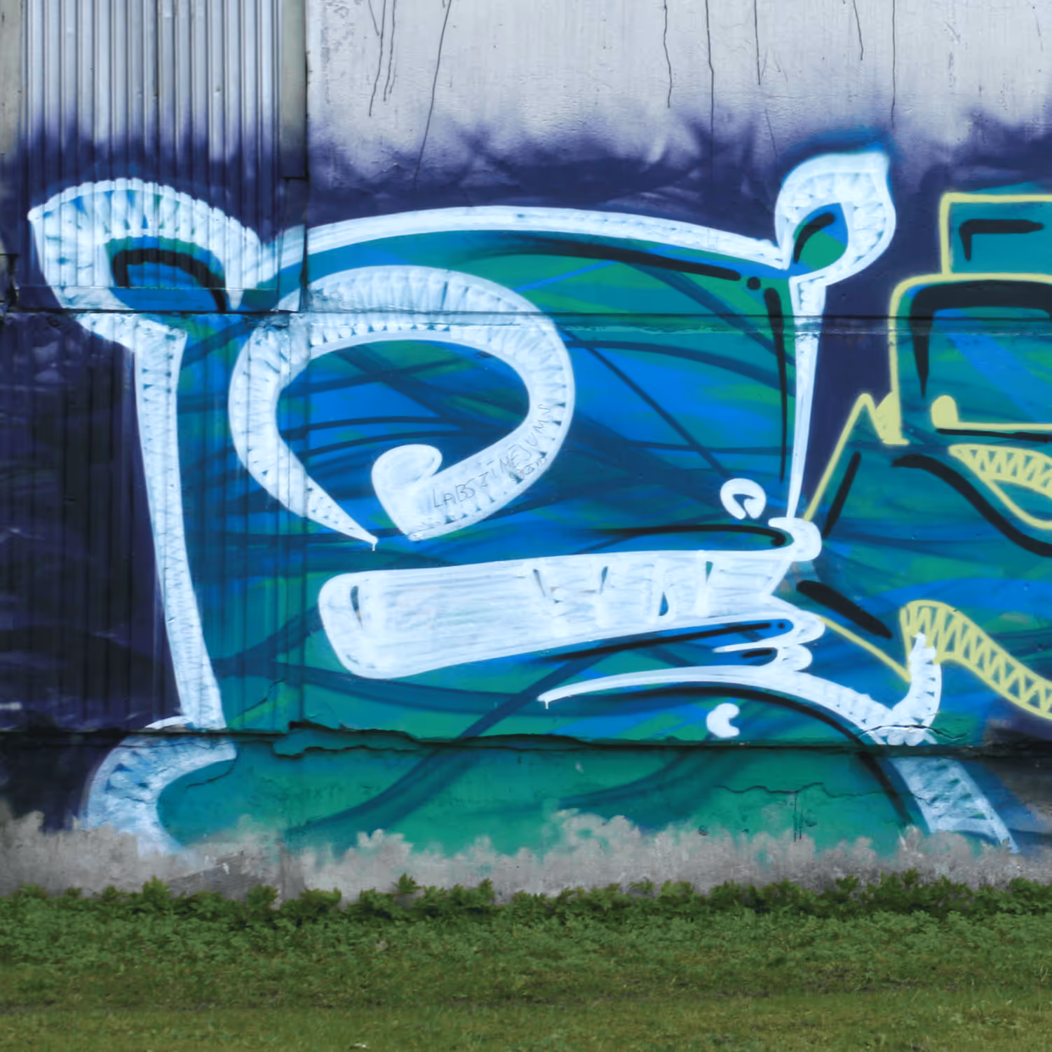 header_image