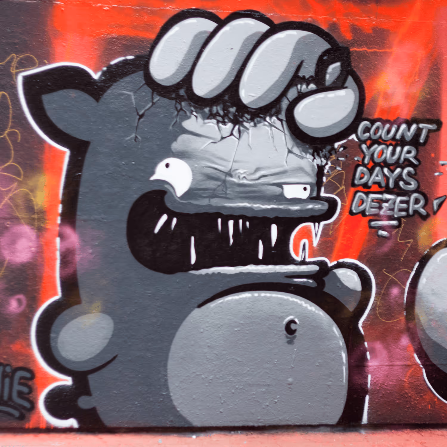 header_image