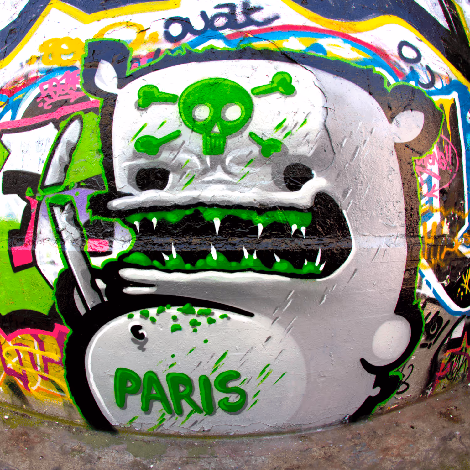 header_image
