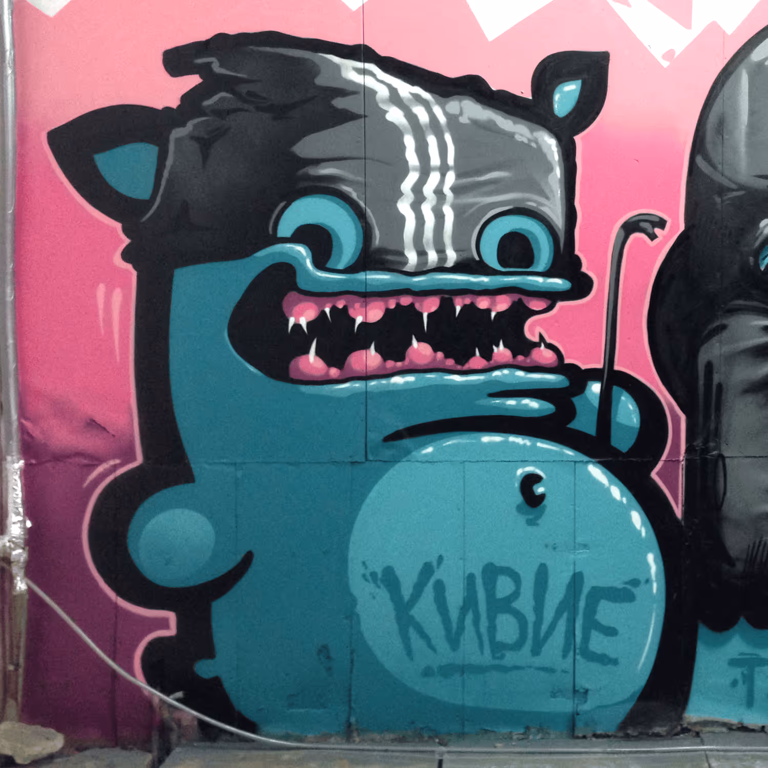 header_image