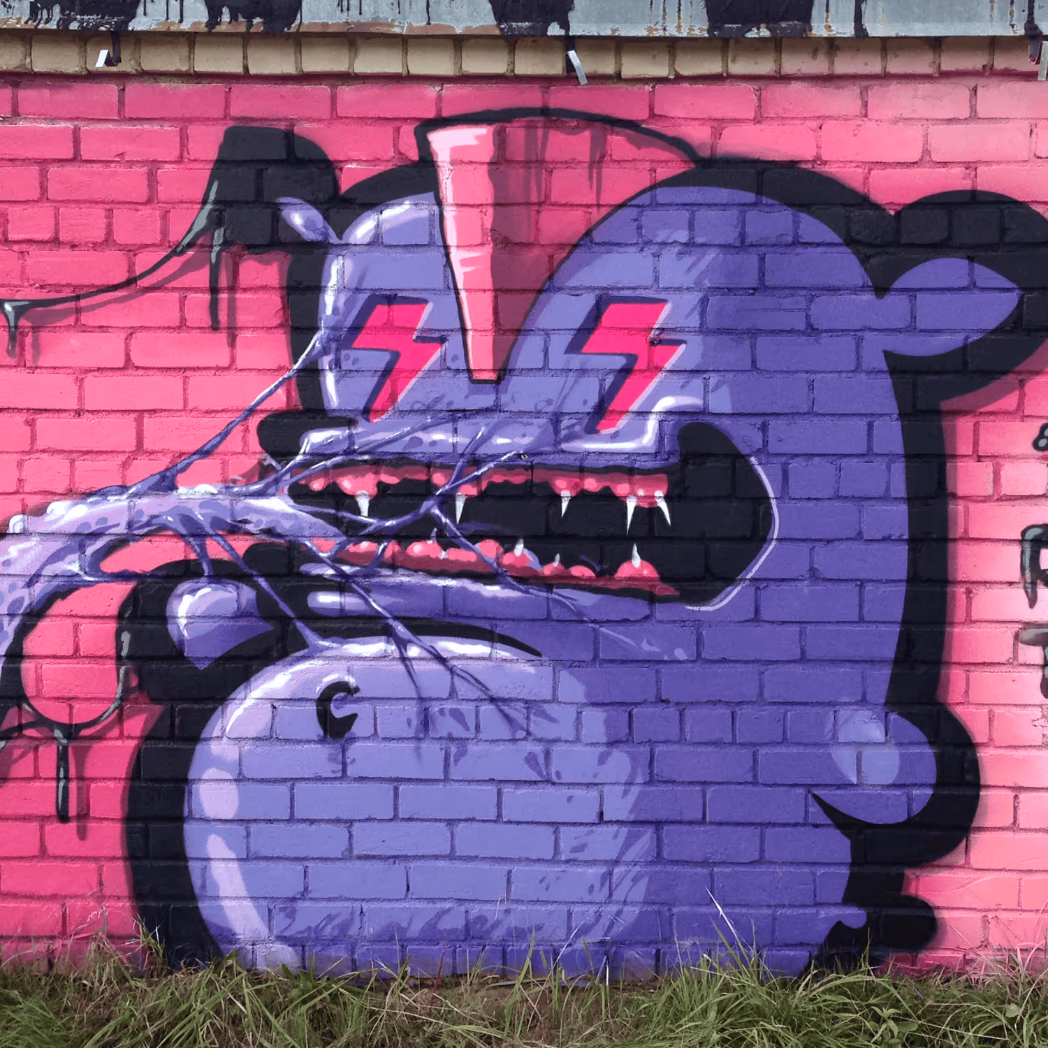 header_image