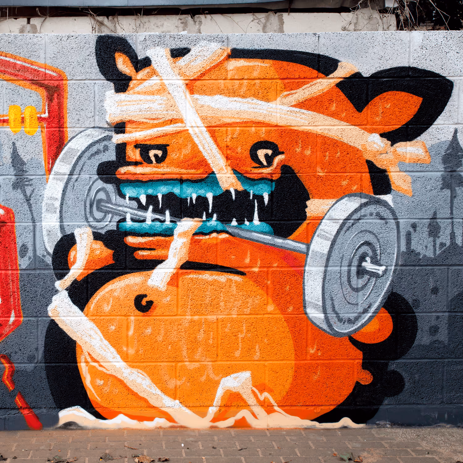 header_image