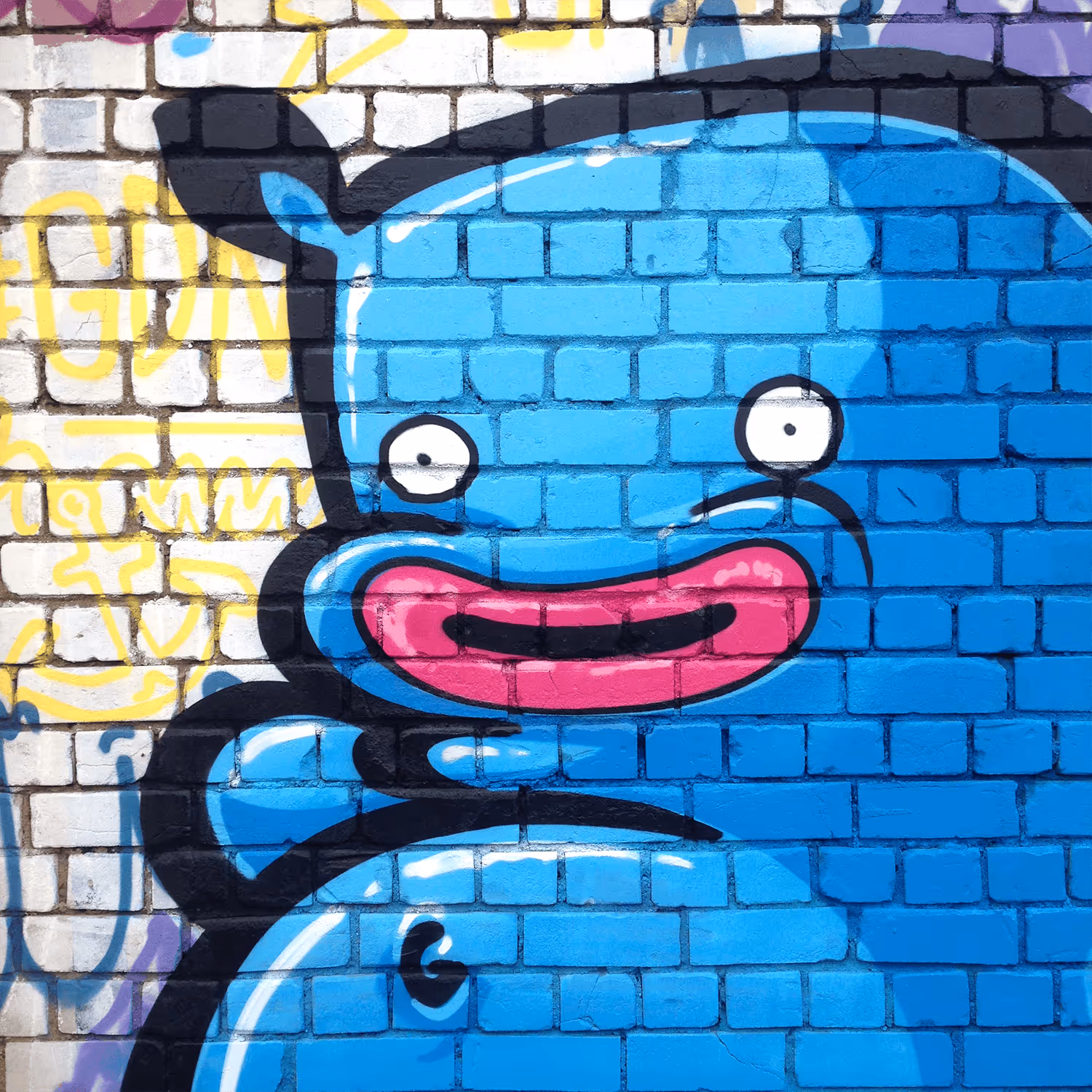 header_image