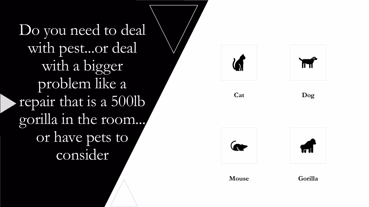 Do you need to deal with pests or a bigger problem before you sell?