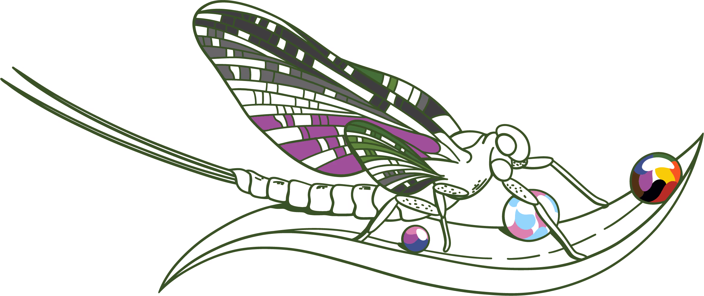Illustration: Uppland Summer Mayfly