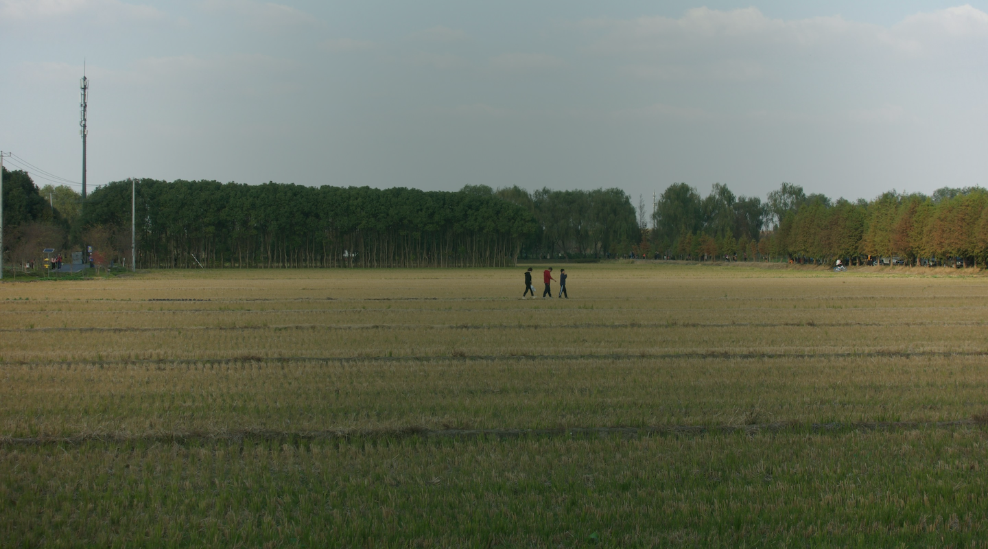 FieldPix