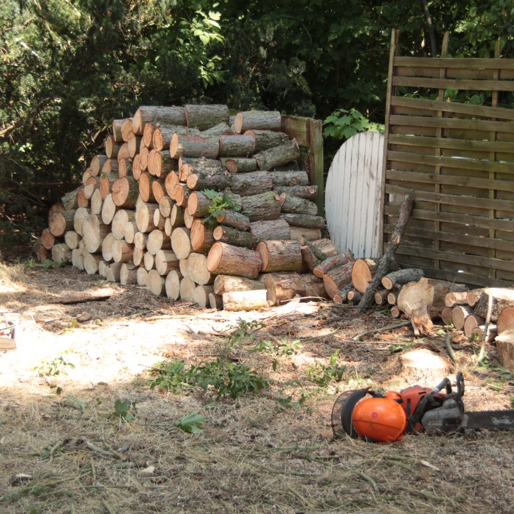 Baumpfleger bei der Arbeit – W&R Baumpflege Bernau