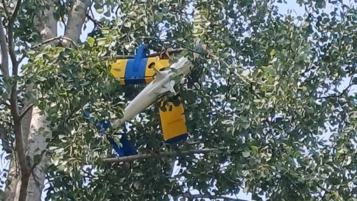 Modellflugzeug hängt hoch in der Krone eines Baumes fest