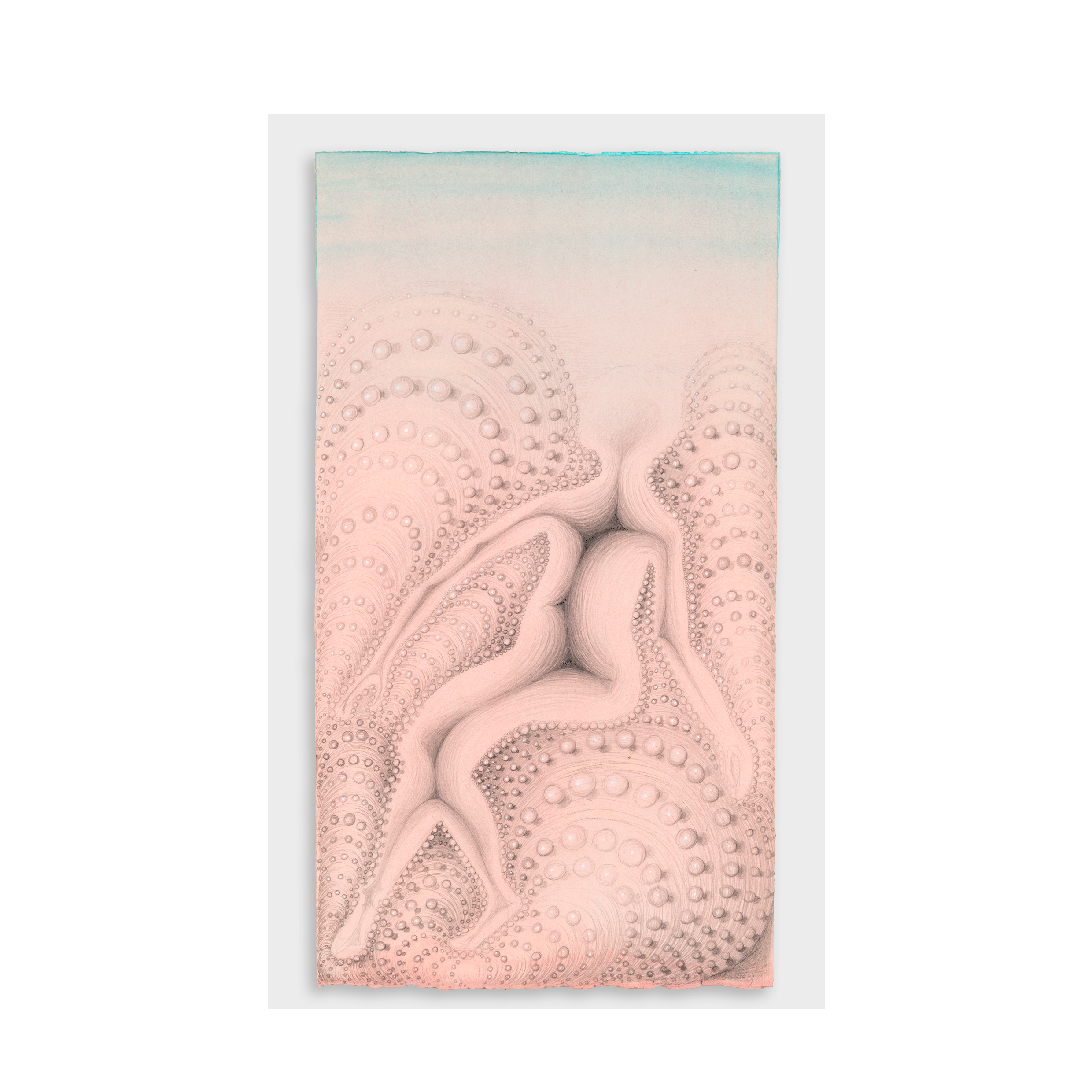 <em>Listening Body</em>, 2022–2025<br/>Piezography on paper<br/> 40 × 21 cm