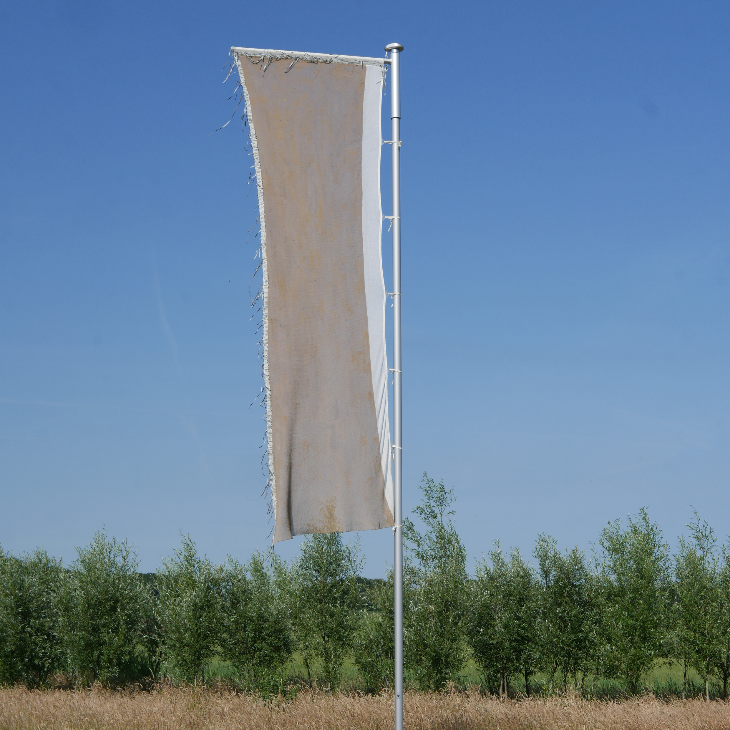 <em>Luminous Ground</em>, 2025<br/>Cotton, cord, various types of soil<br/>700 × 150 × 10 cm