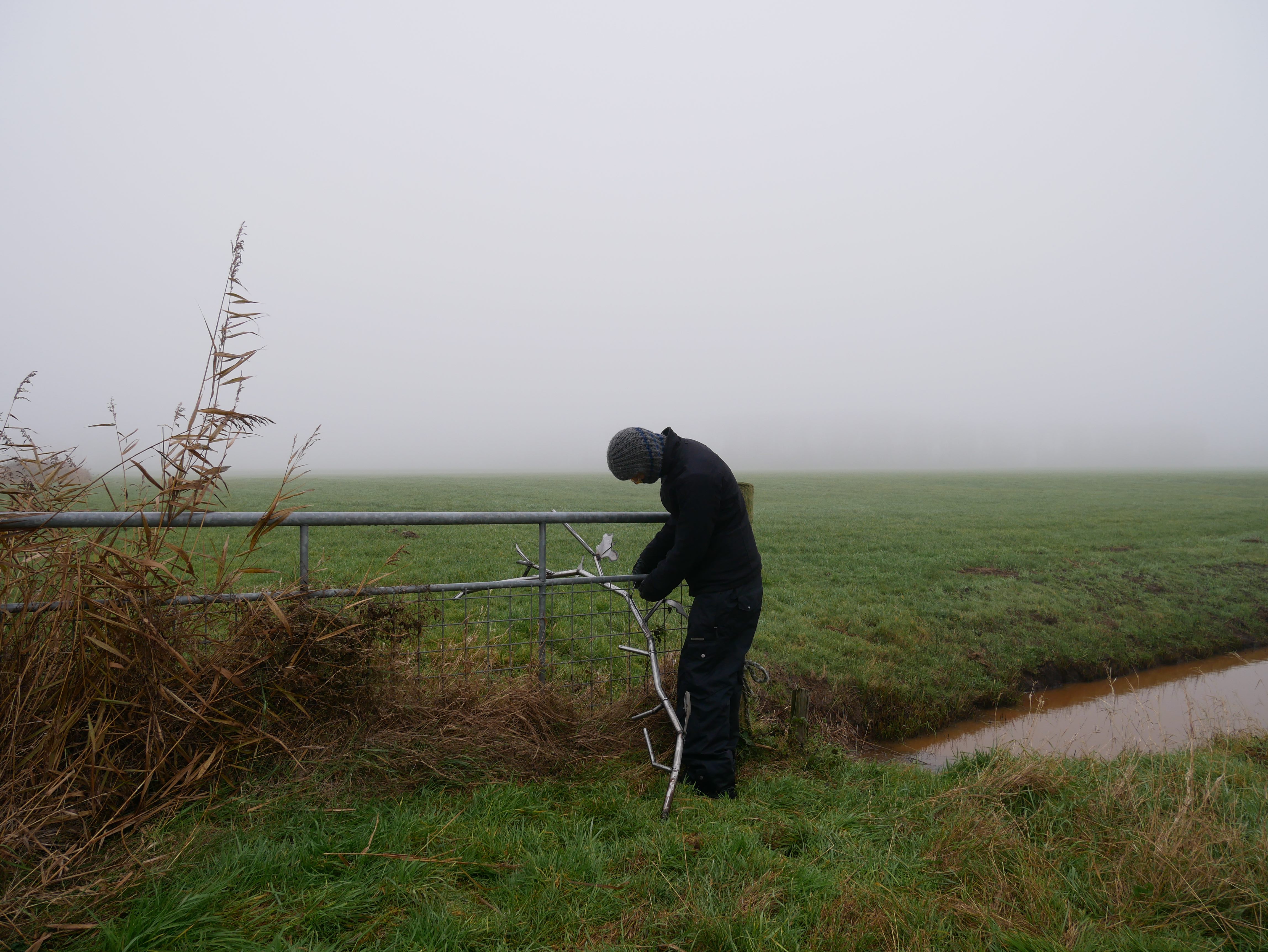 <em>Invade/Abduct,</em><br/> Karl Emil Krebs Birkeland 