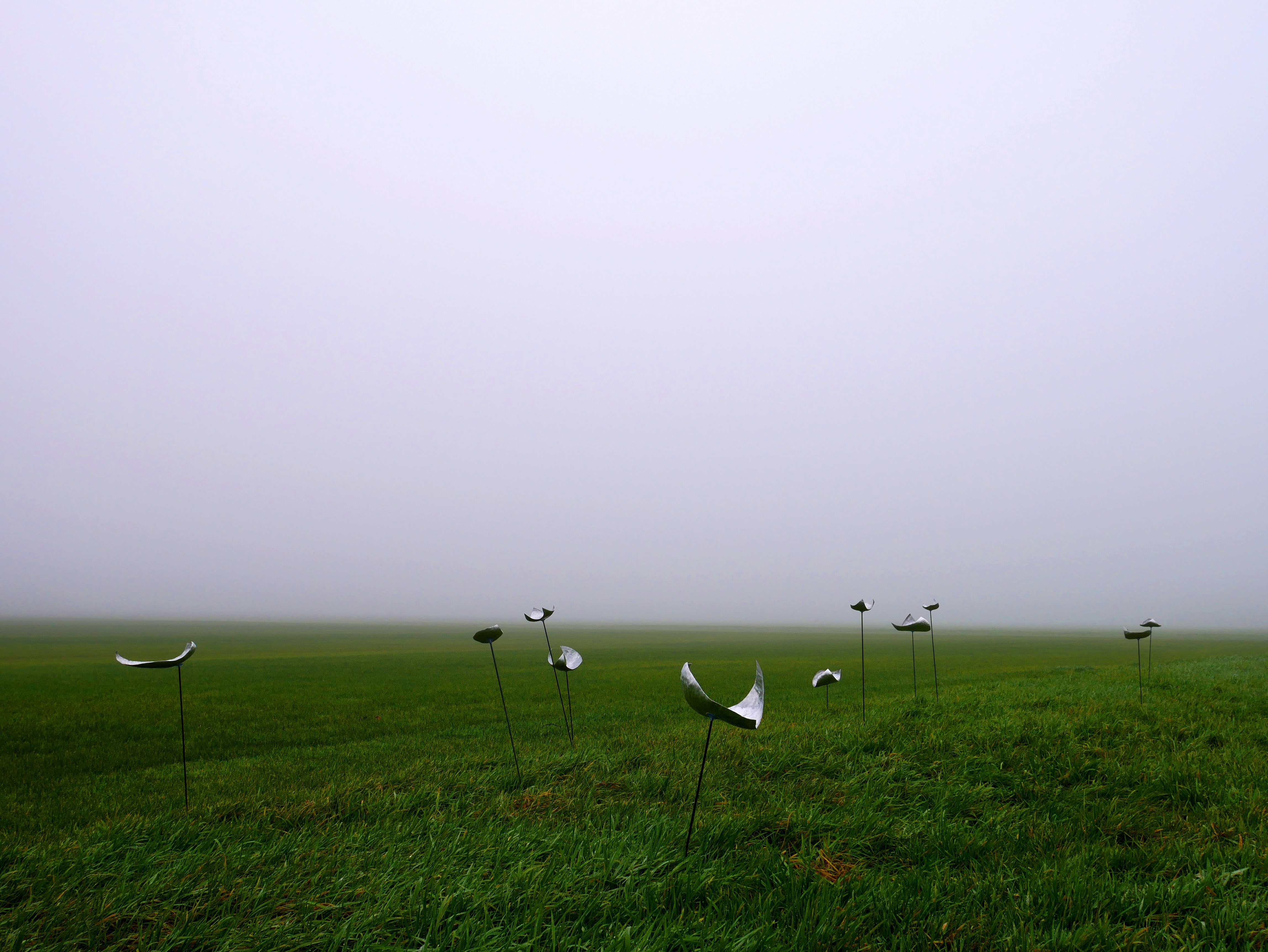 ‍<em>“you can never stand in the same wind twice”,</em><br/>Stella Vriends 