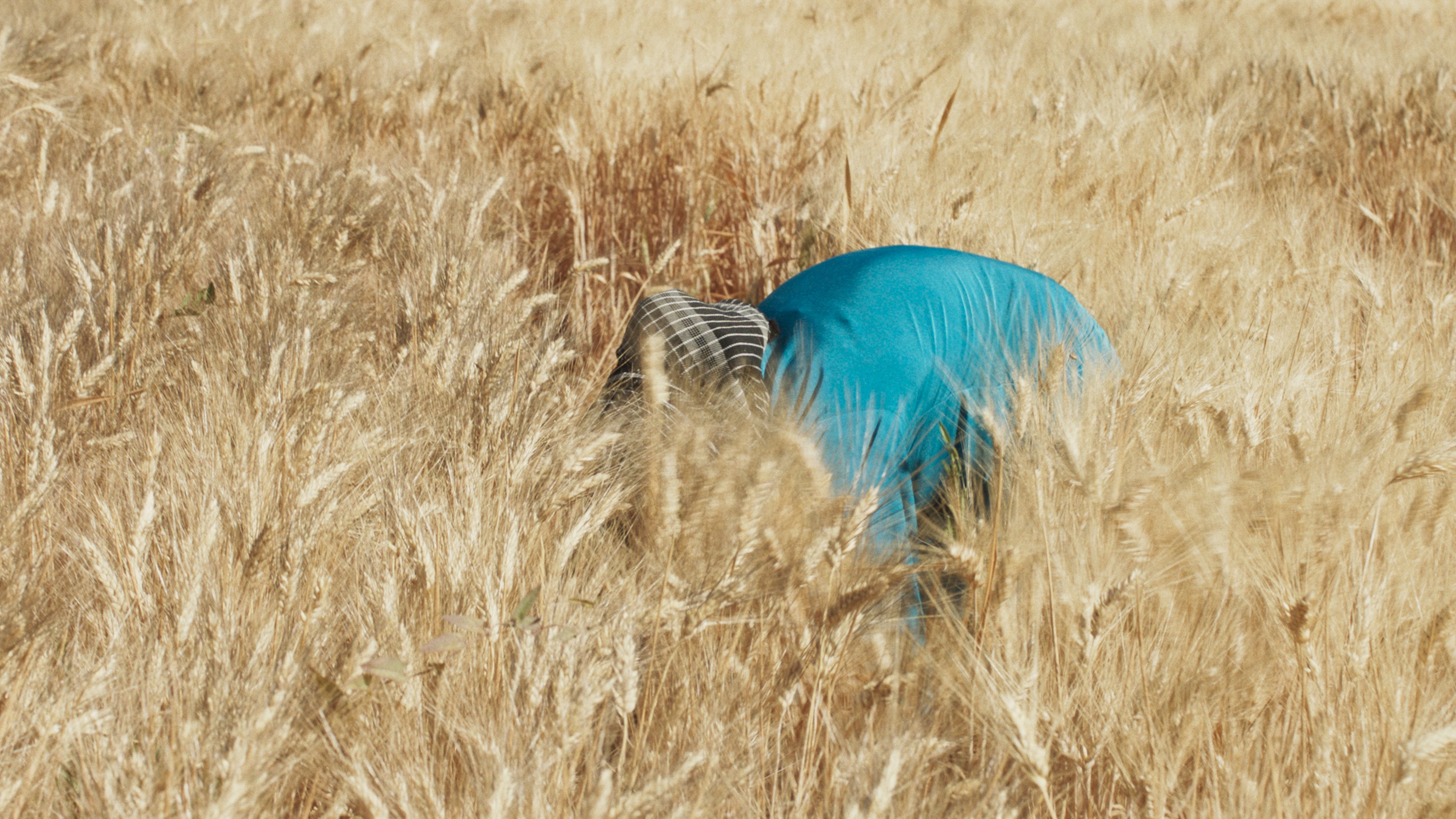 <em>Wild Relatives</em>, <br/>Jumana Manna