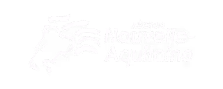 Nouvelle Aquitaine