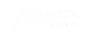 Nouvelle Aquitaine