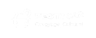 Festicar