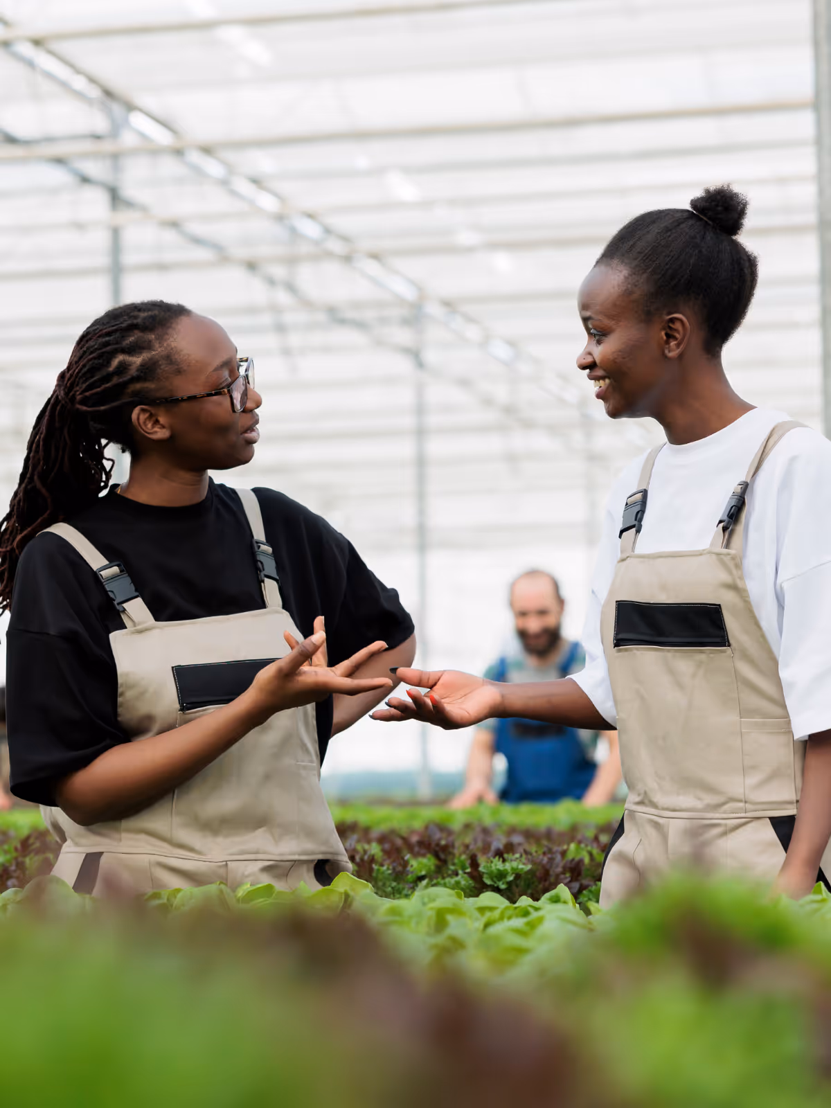 Two women working in a greenhouse.
