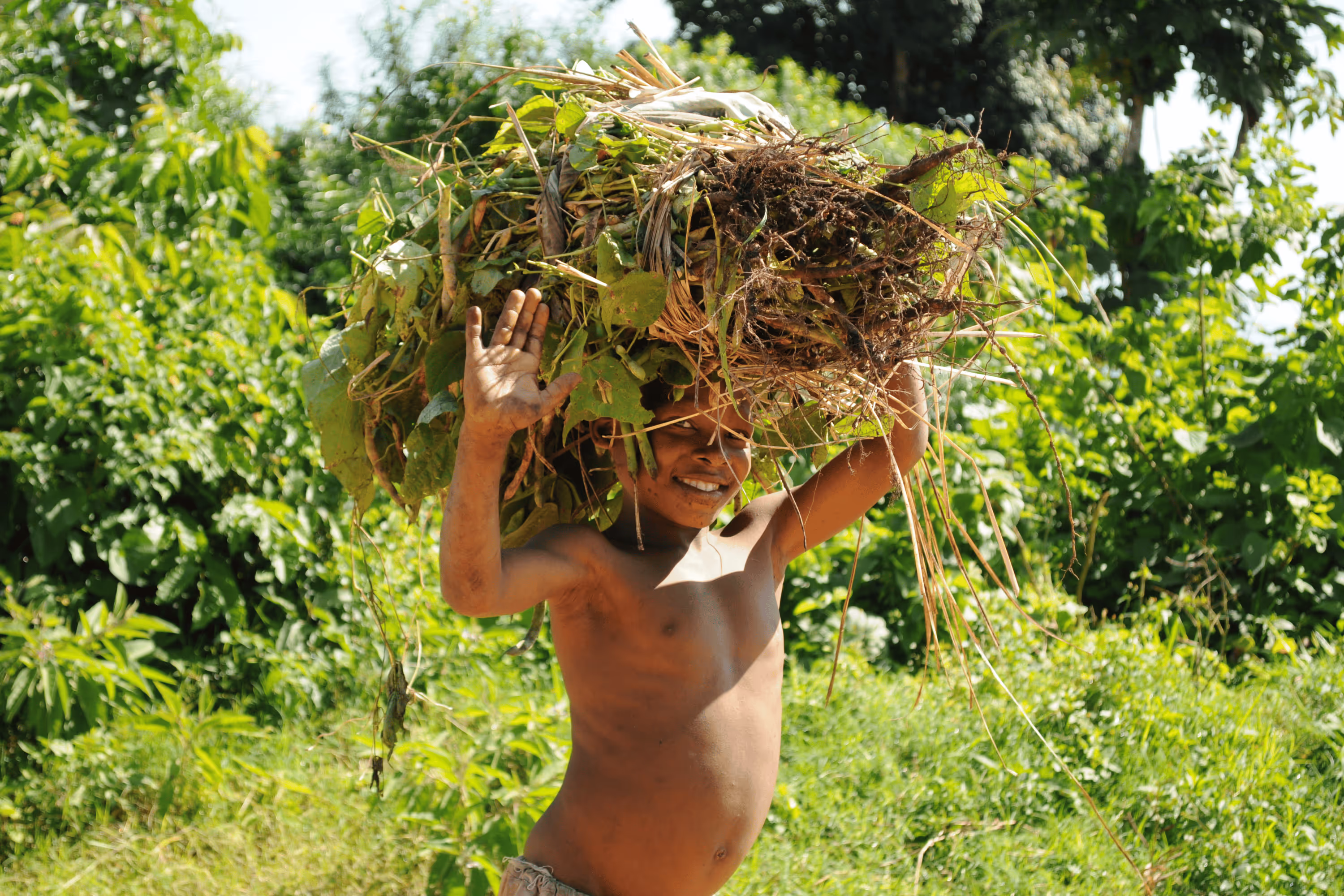 A young person carrying bushes 