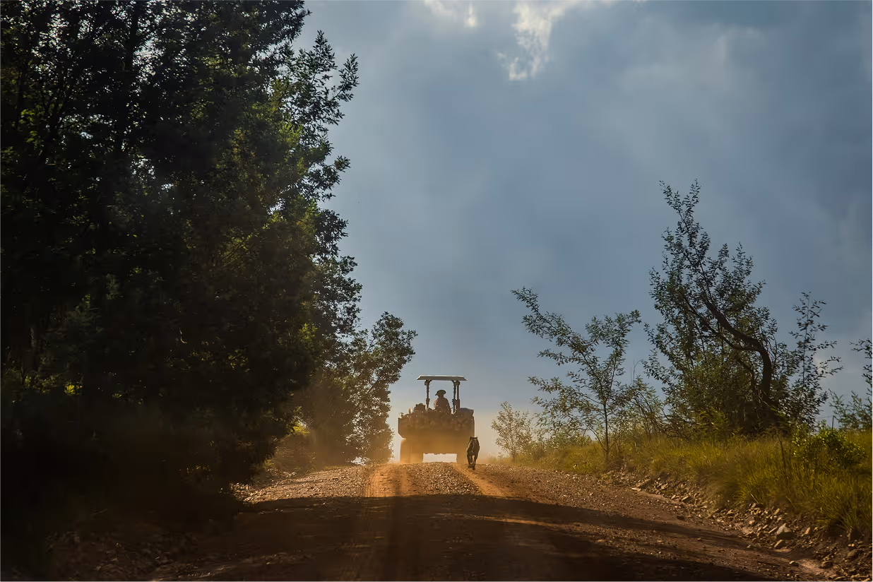 picuture of a vehicle driving on a farmers road