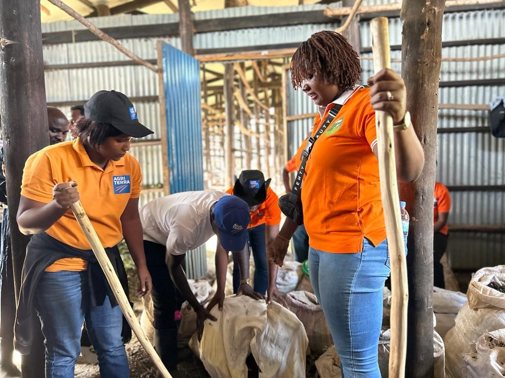 Multiple people working