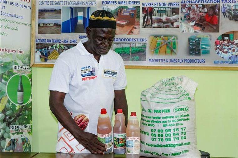 Compost to a real business