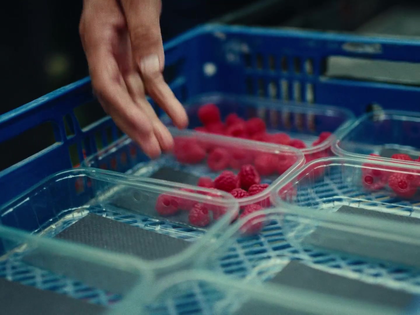 Raspberry trays â produce from British farms, shot for the NFU campaign