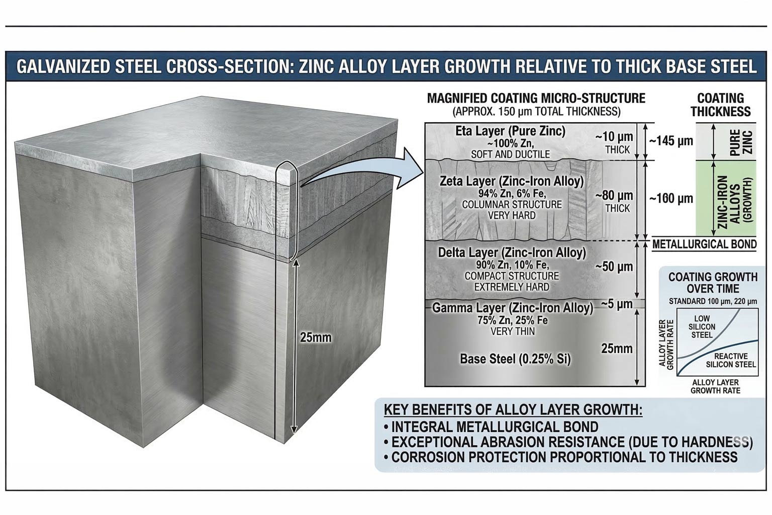 Cross section of thick galvanized steel showing zinc alloy layer growth relative to base steel thickness
