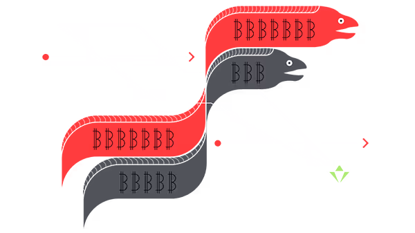 SysDig 555 logo
