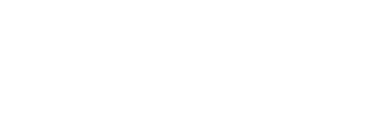 Falco Logo
