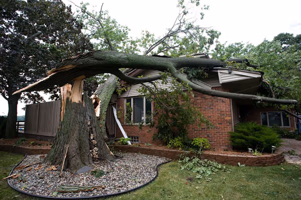 Storm Restorations
