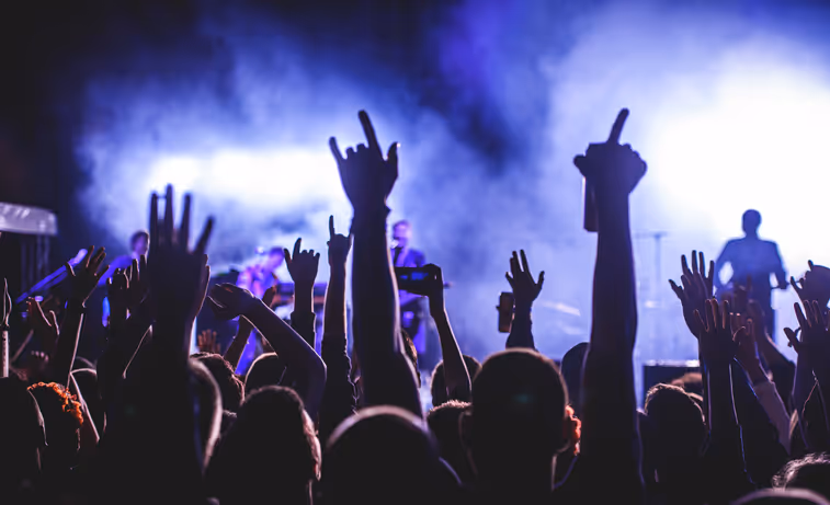 A concert crowd