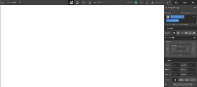 webflow_options_styles_CSS