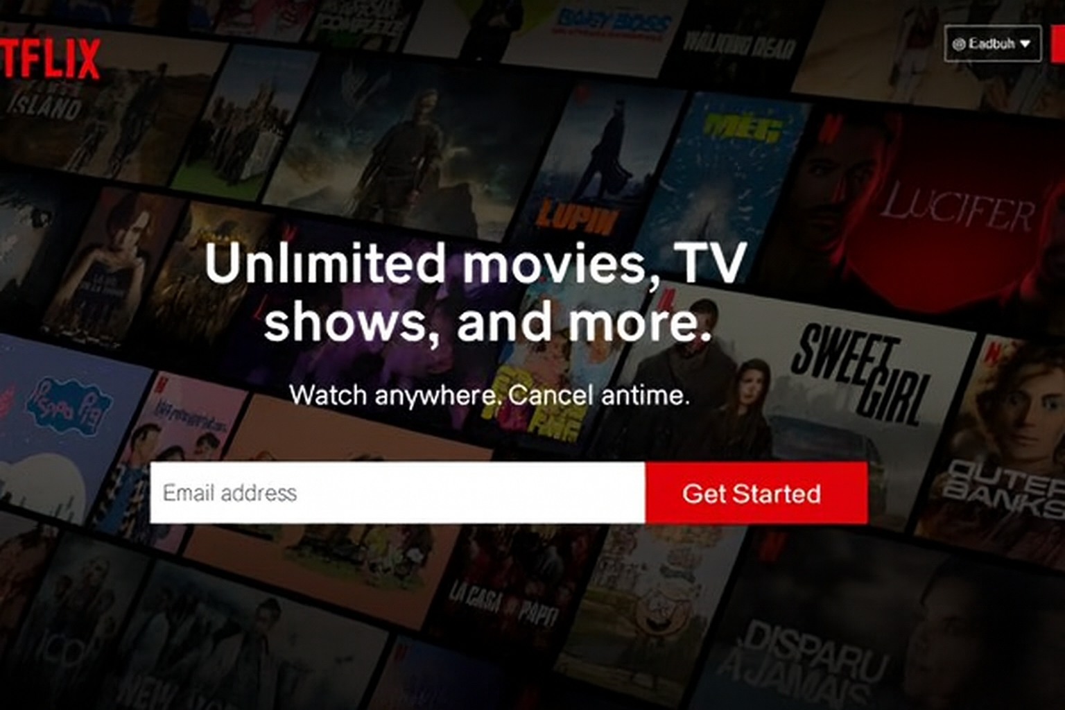 CTA Netflix