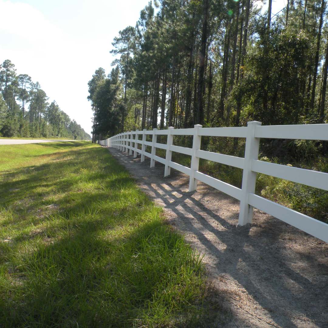 An image of a fence line along a row of trees in North Florida