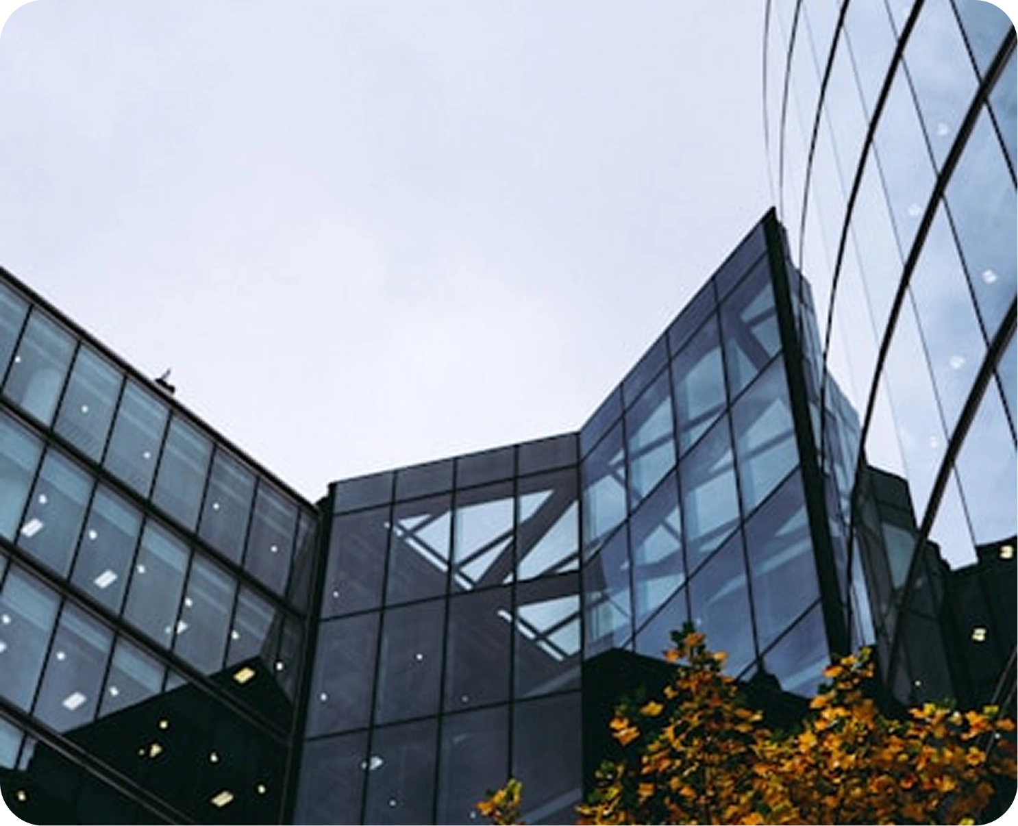 Modern glass office building facade with reflections and an autumn tree in the foreground.