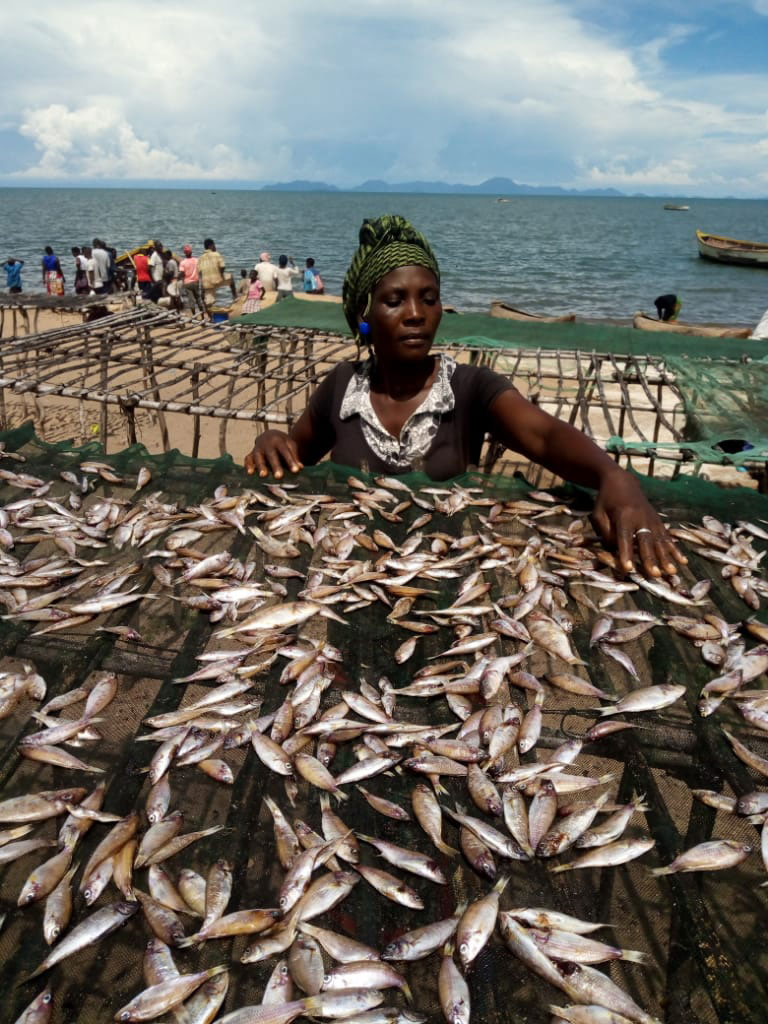 Widow drying fish
