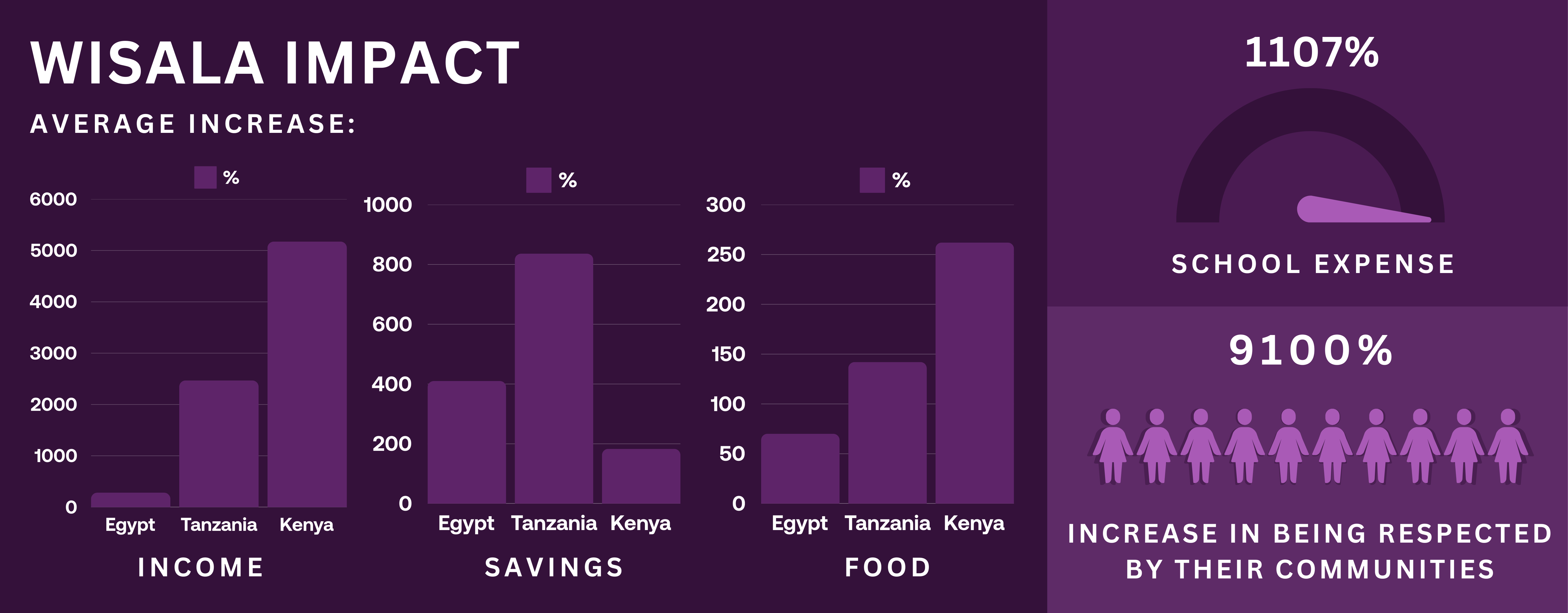 WISALA Impact Infographic