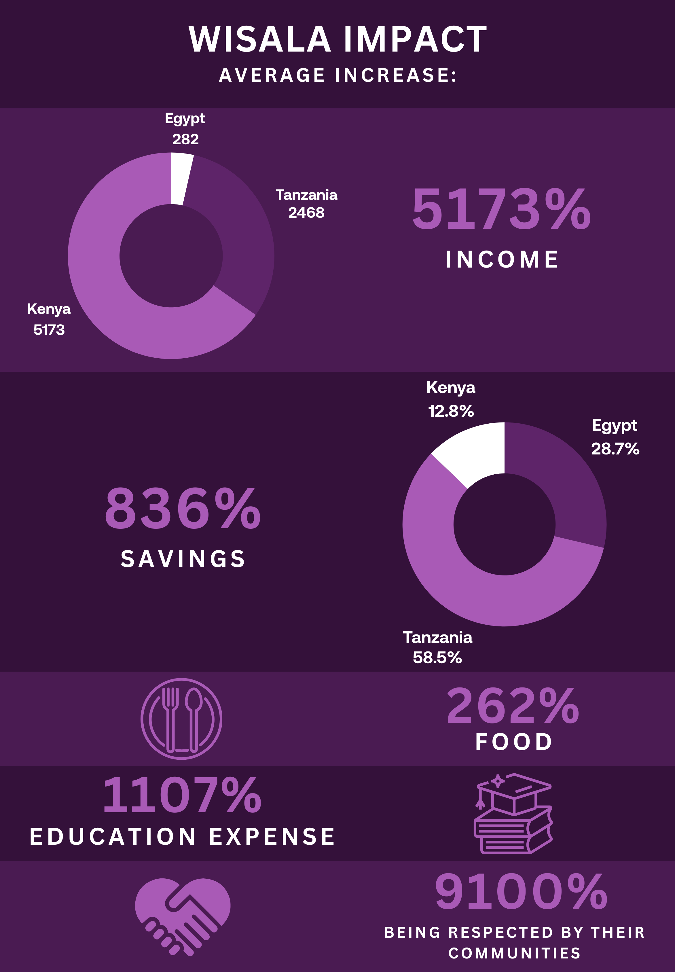 WISALA Impact Infographic