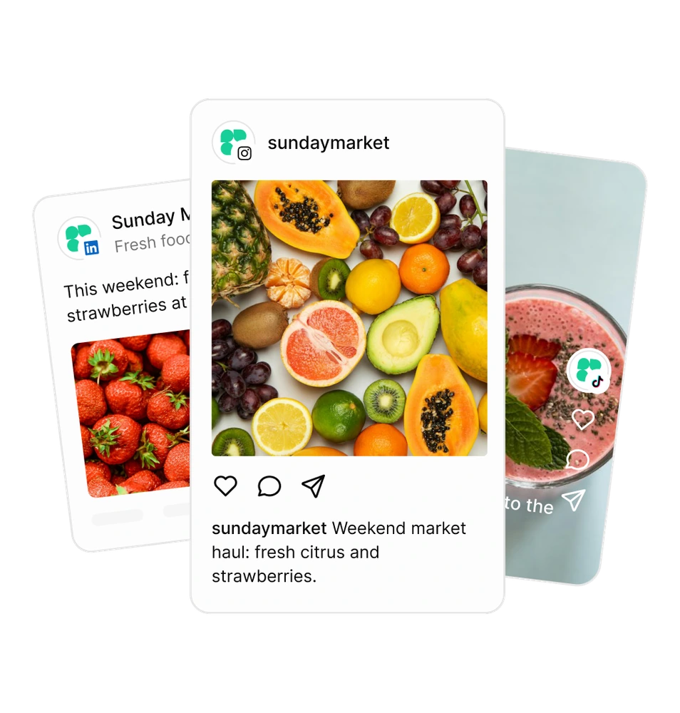Live Instagram preview of a post in Tallyfeed