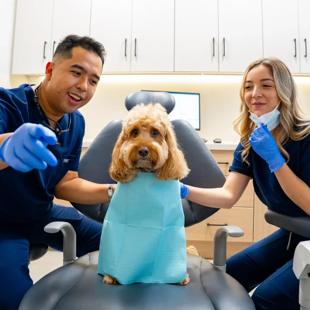 Interactive Photo of Coastal Smiles in Cosa Mesa CA