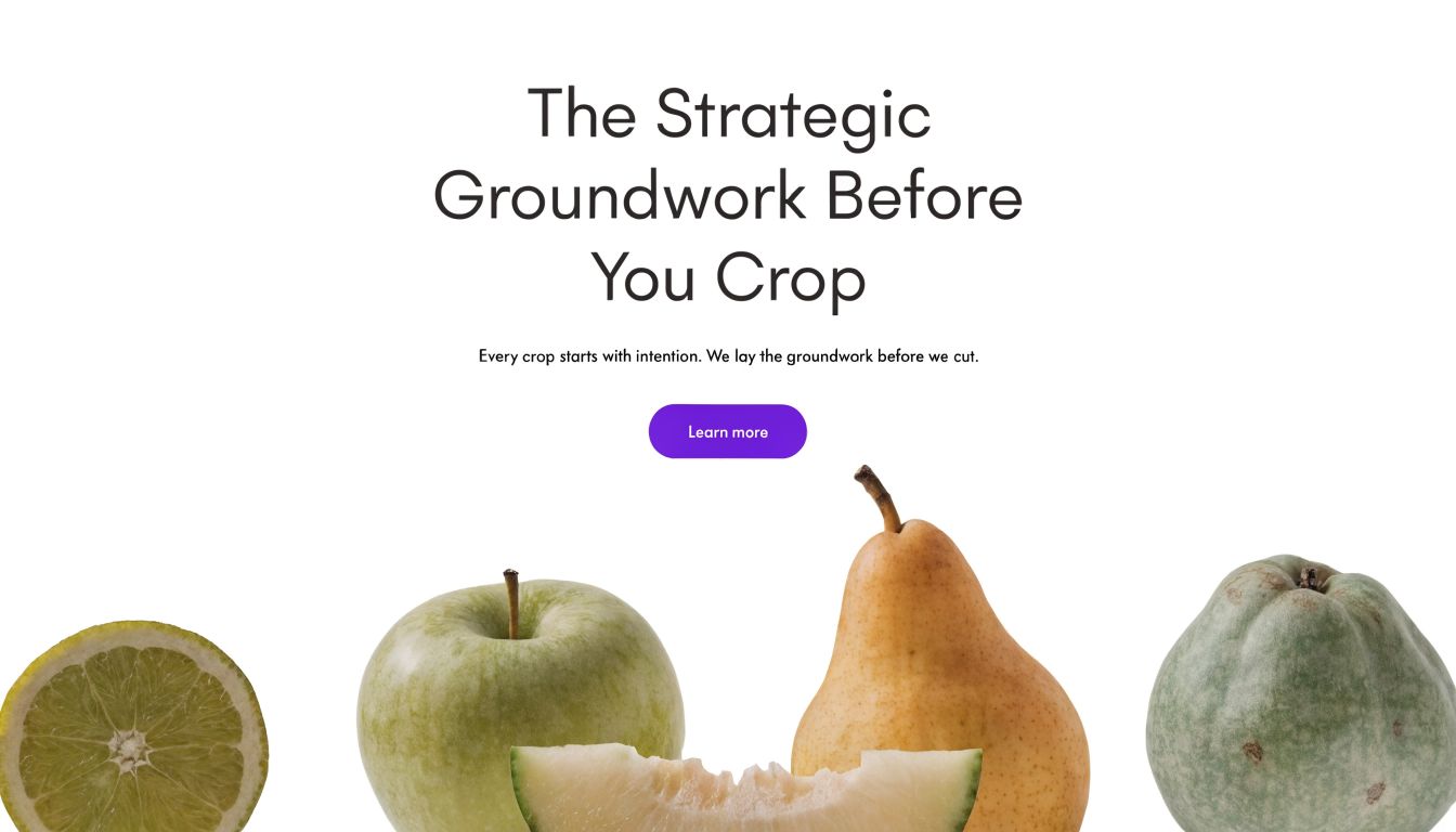 A minimalist graphic promoting video editing services featuring various fruits and the text The Strategic Groundwork Before You Crop.