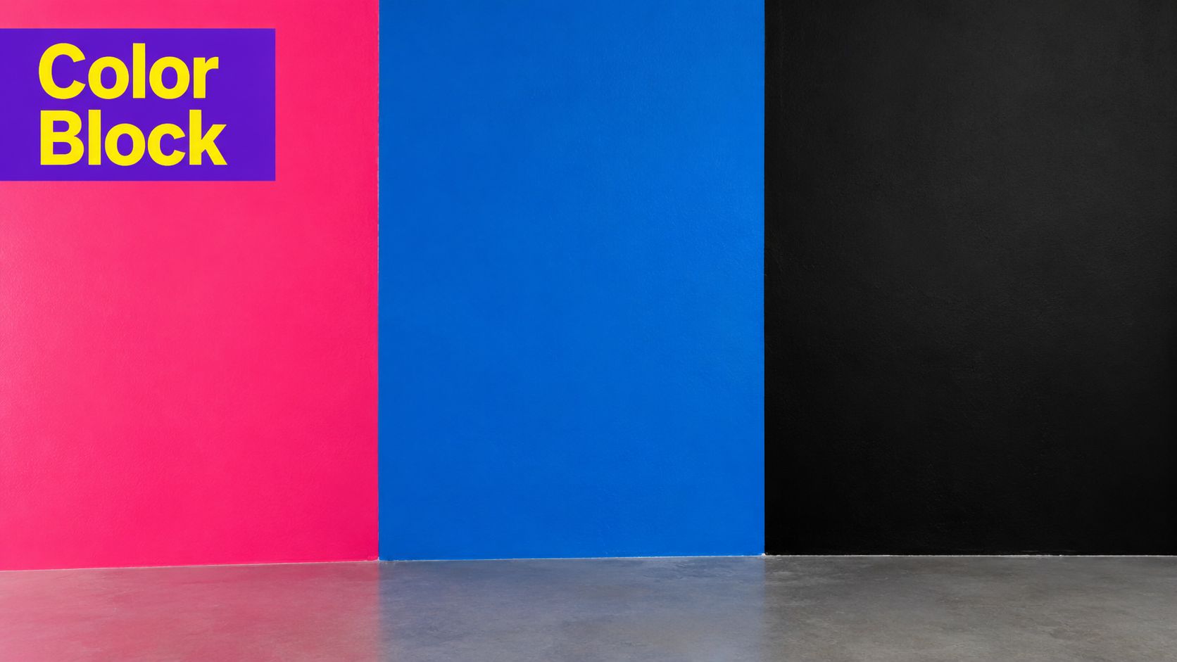 A modern studio background featuring vertical color blocks in pink, blue, and black over a concrete floor.
