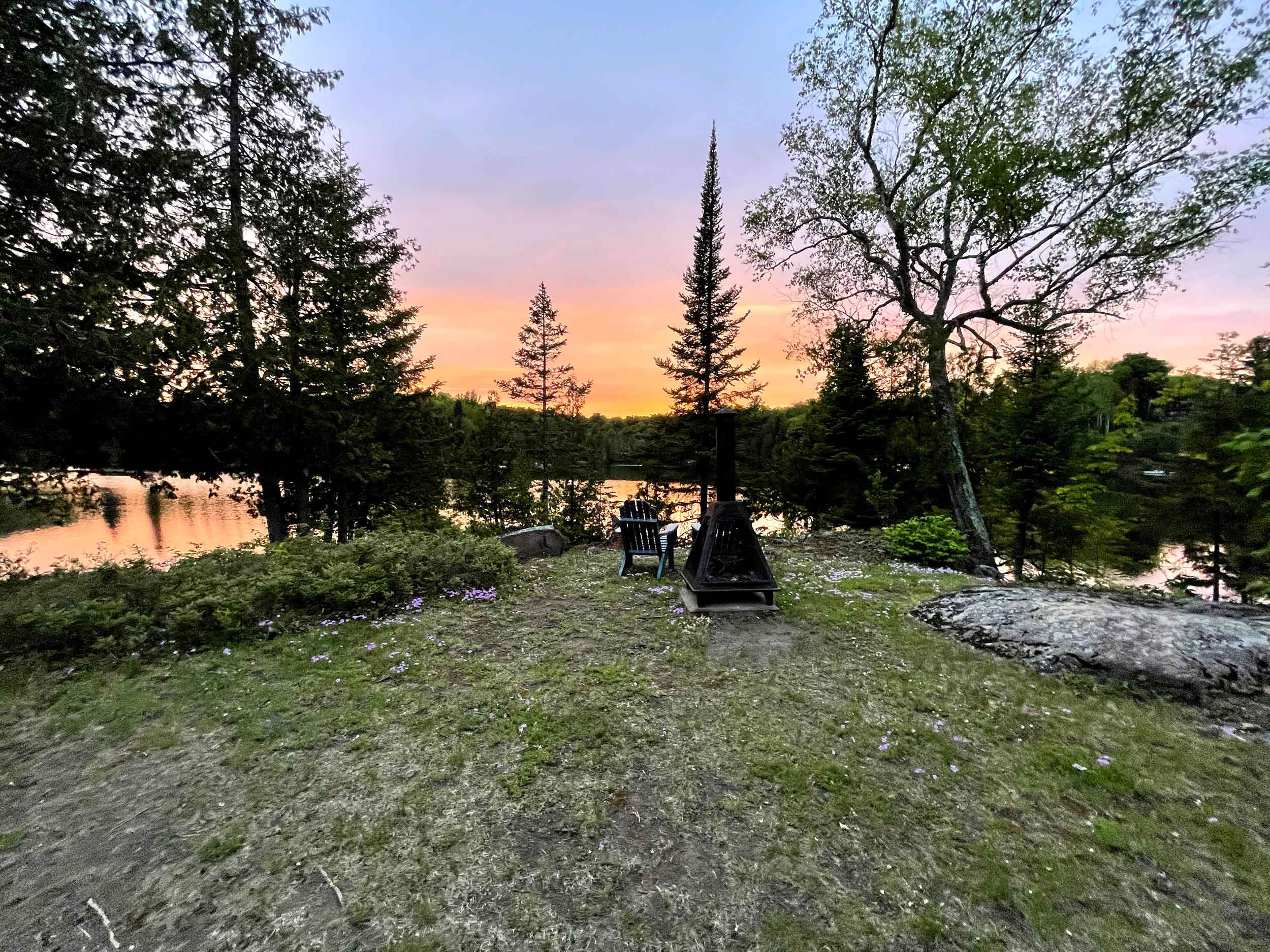 Lakeside clearing at sunset