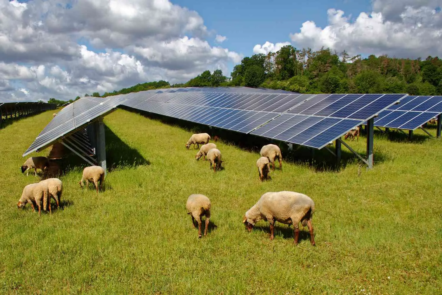 Solar Grand Img