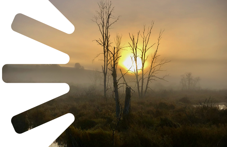 marsh sunrise
