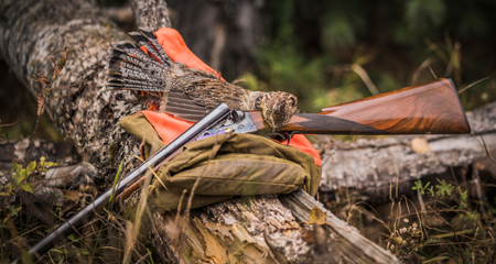 Ruffed grouse beside a vintage Parker double shotgun