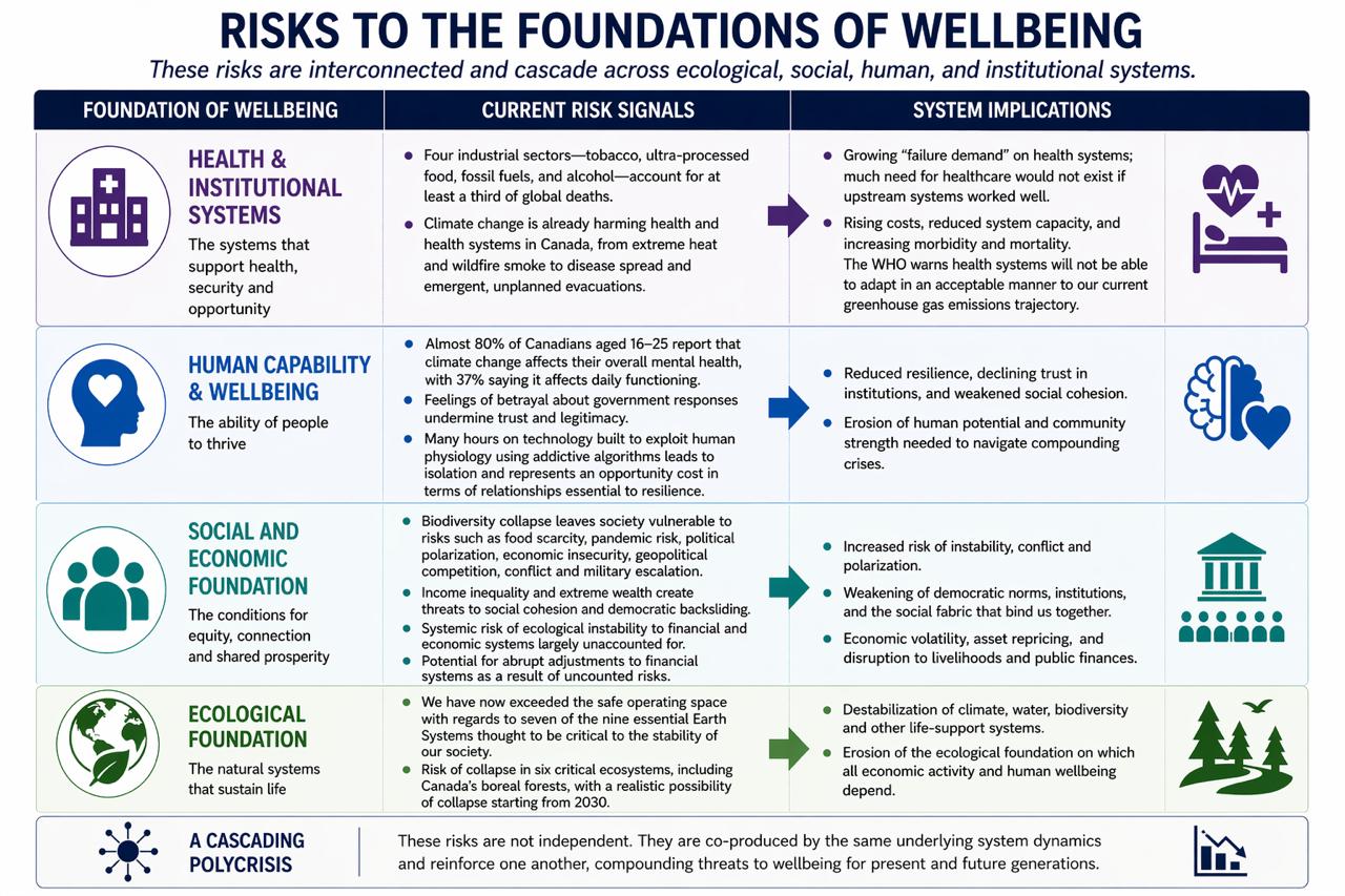 Infographic: Risks to the Foundations of Wellbeing.