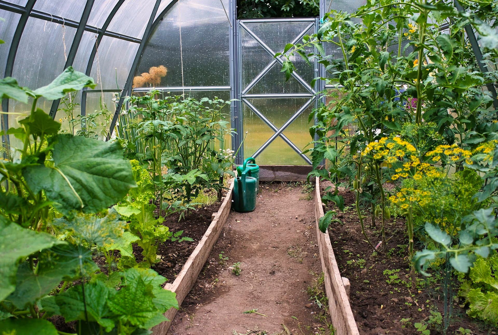 Photo d'une serre de jardin