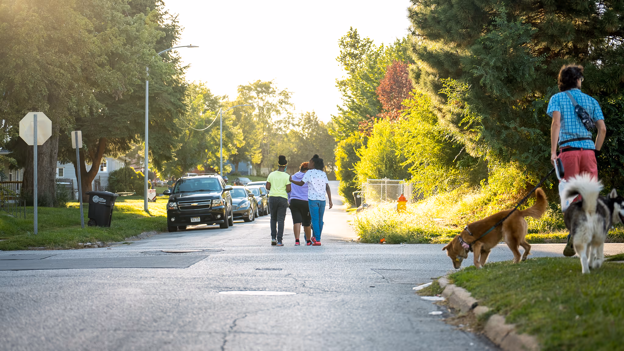 A group of people walking two dogs down a street.