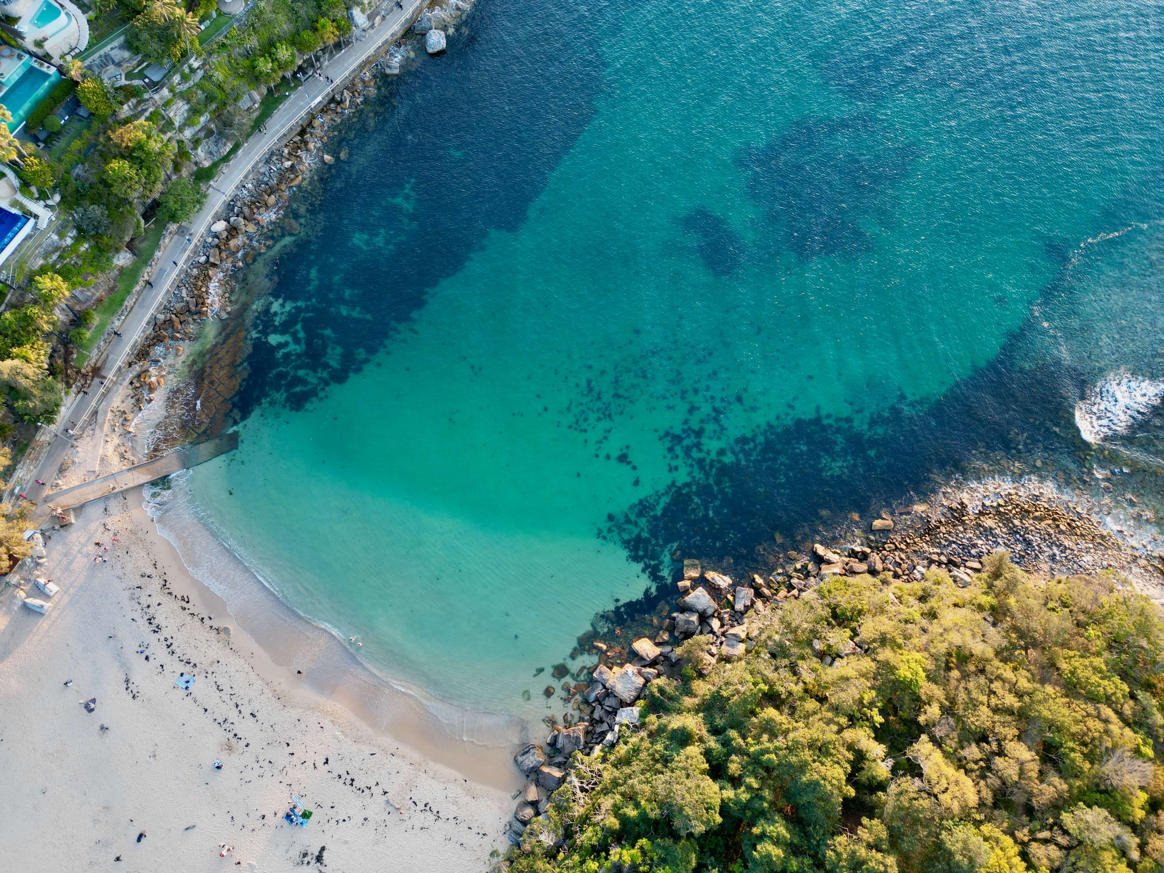 October 24: FoBBB Community Meeting and Panel Discussion - Lessons from 25 Years of Cabbage Tree Bay 